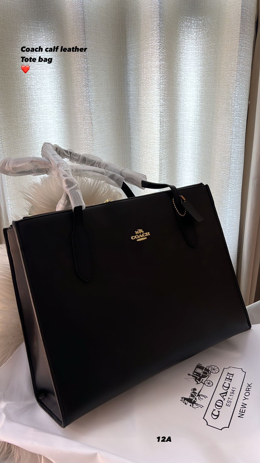Buy First Copy Coach Carryall Nina Large Tote Bag - Master Quality 7A Mirror at Lowest Price Online India