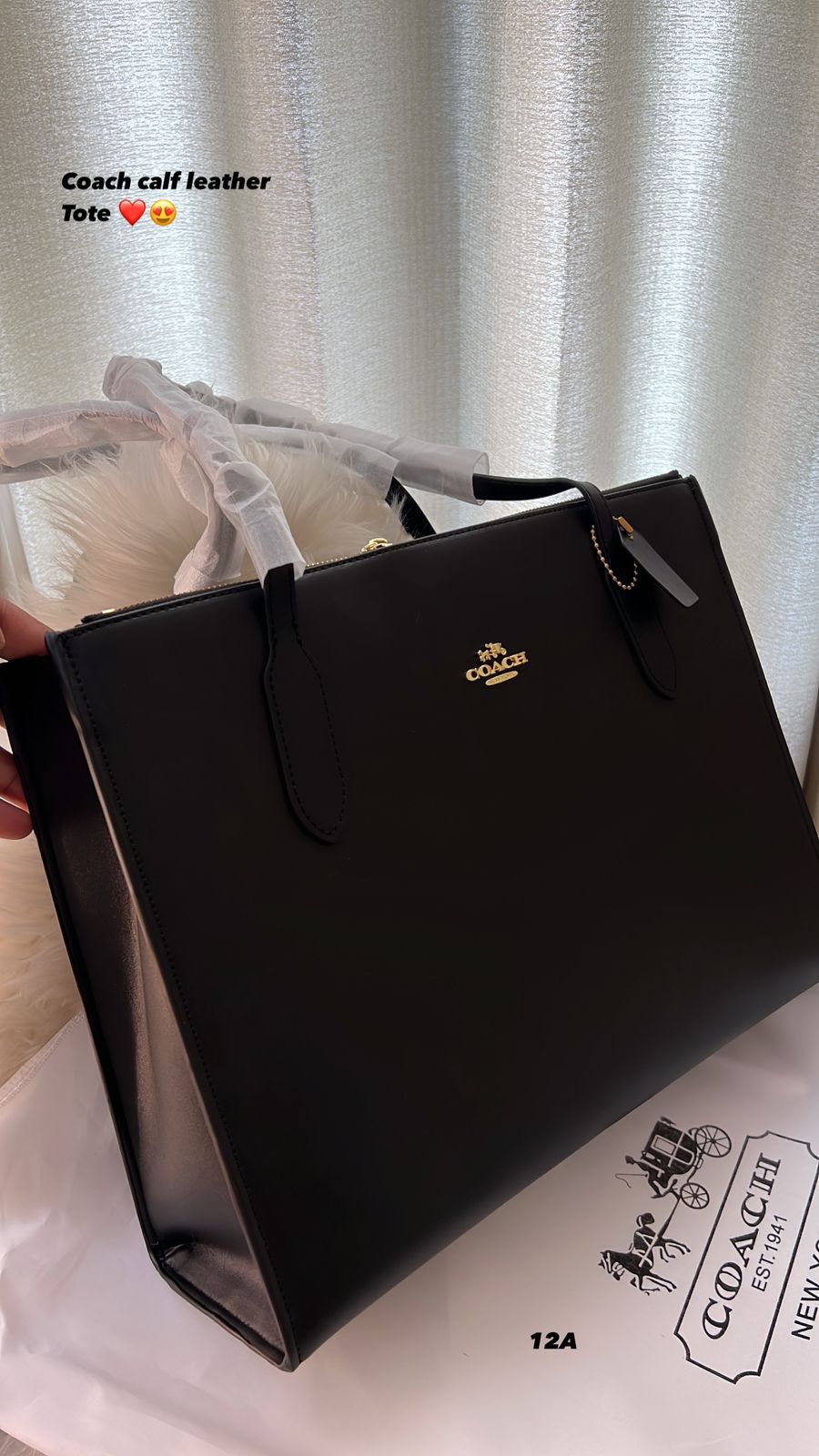 Buy First Copy Coach Carryall Nina Large Tote Bag - Master Quality 7A Mirror at Lowest Price Online India