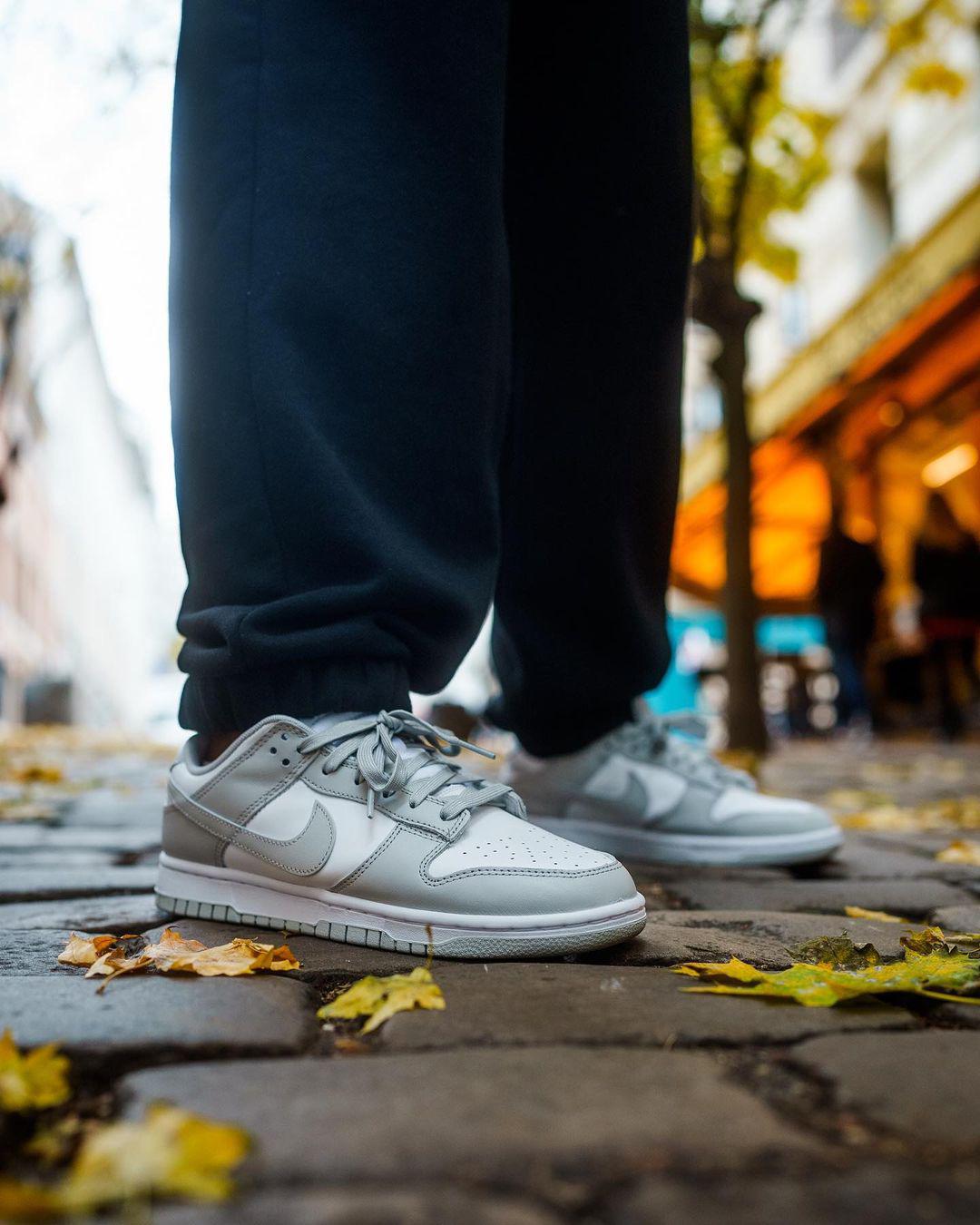 Buy First Copy Nike Dunk Low Medium Grey Sneakers - Master Quality 7A Mirror at Lowest Price Online India