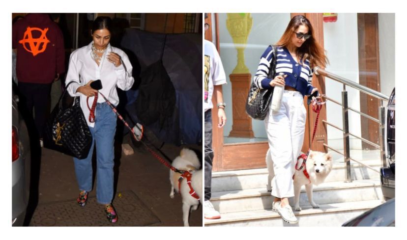Buy First Copy Ysl Yves Saint Laurent Tote Bag - Master Quality 7A Mirror at Lowest Price Online India