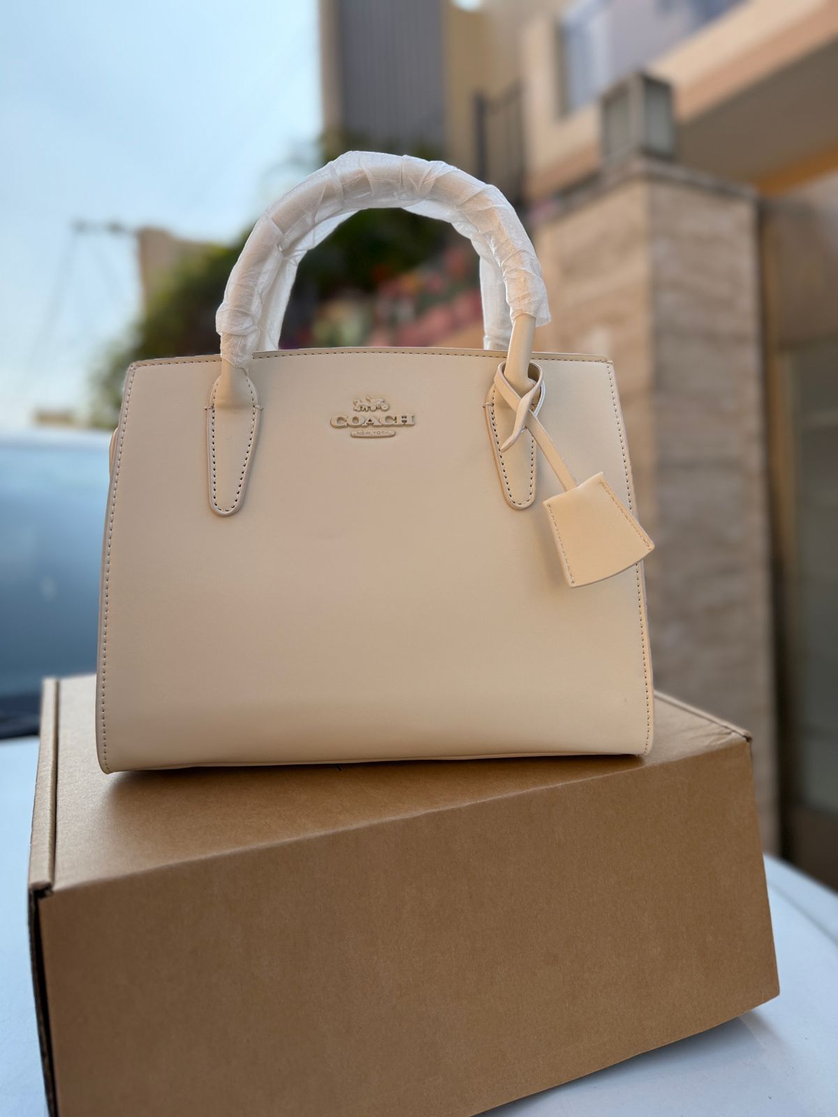 Buy First Copy Coach Carryall Leather Women Handbag - Master Quality 7A Mirror at Lowest Price Online India