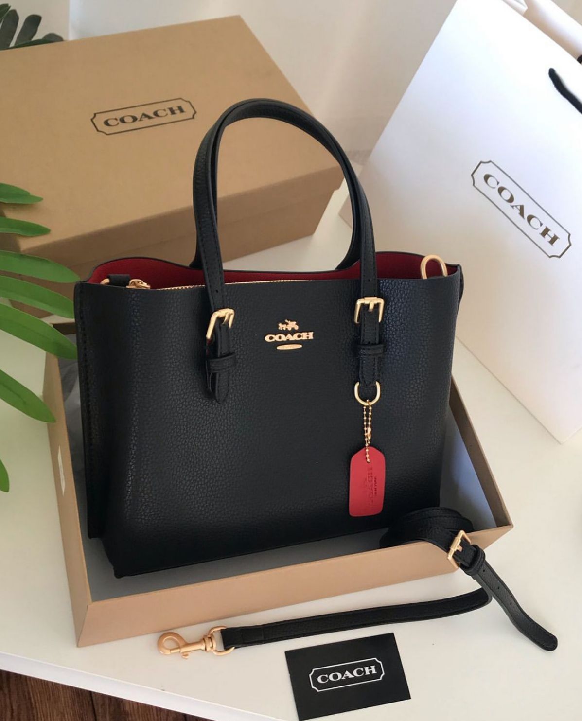 Buy First Copy Coach Small Mollie Women Tote Bags 25cm – Solid Colors with Box Series - Master Quality 7A Mirror at Lowest Price Online India