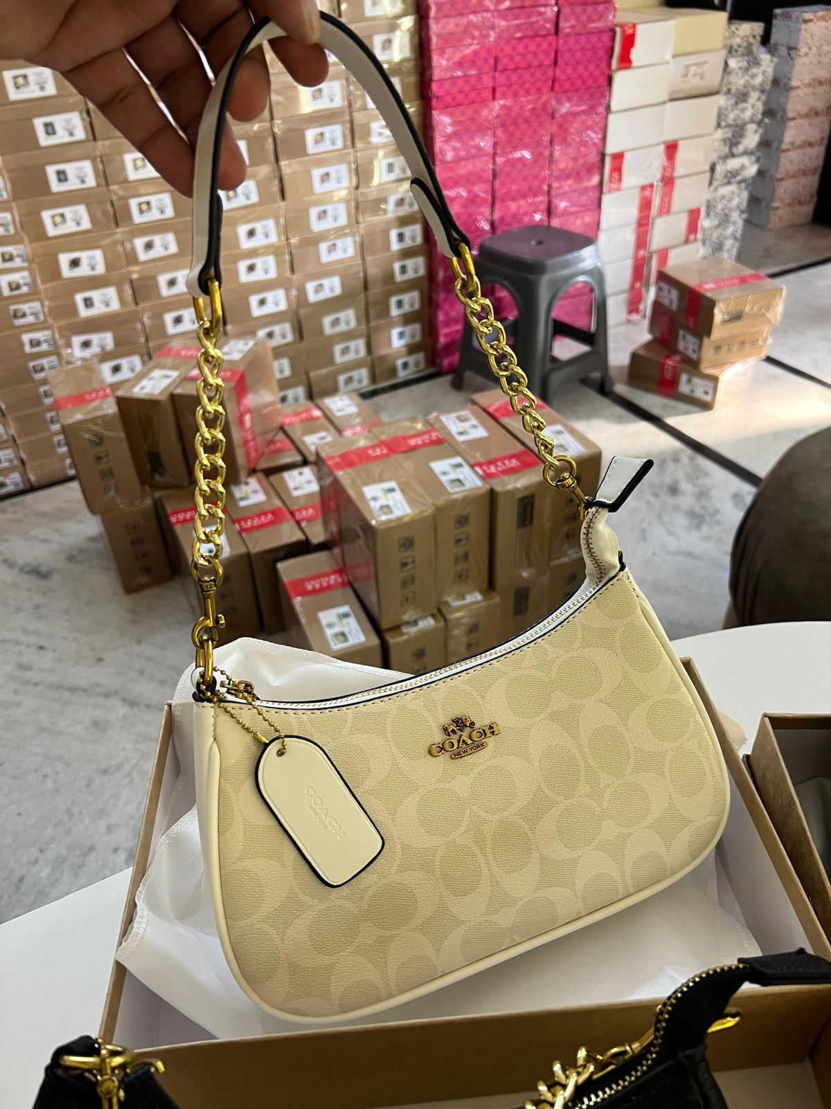 Buy First Copy Coach Teri Women’s Shoulder Sling Bag - Master Quality 7A Mirror at Lowest Price Online India